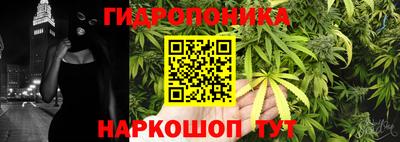 бошки Заволжье